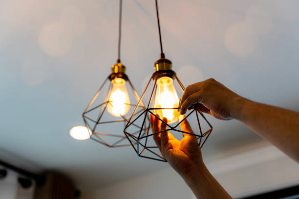 Best Local Electrician Companies  in Delcambre, LA